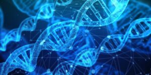 Exposure to pollutants, increased free-radical damage speeds up aging, per WVU-led study
